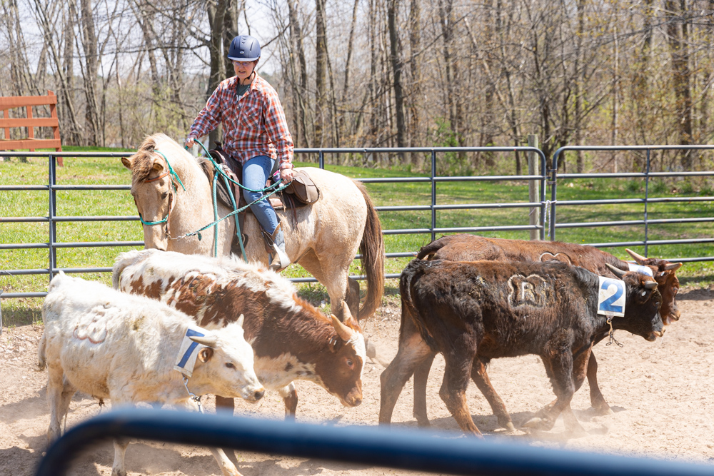 Ride For The Ranch -Cattle Sorting